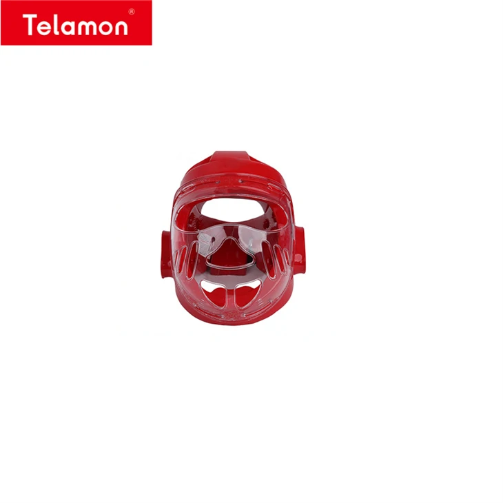 Karate Headgear best